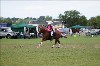 UKPA  NC Sat_1194